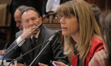 (VIDEO) Senadora Rincón condiciona acuerdo constitucional a aprobación de voto obligatorio a todo evento