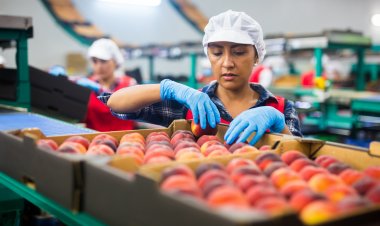 Cae la confianza del consumidor en el Maule