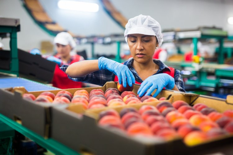 Cae la confianza del consumidor en el Maule