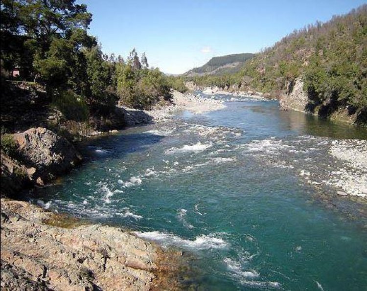 Alerta ambiental: delegada González y consejero regional Gutiérrez adelantan rechazo total a proyecto de embalse en el Santuario Achibueno