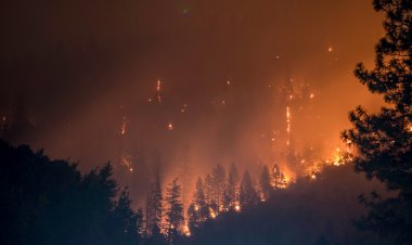 Experto adelanta intensas olas de calor  e incendios forestales de alta propagación