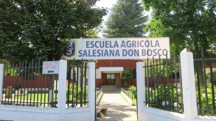 Olor nauseabundo en Linares: fiscalizarán instalaciones agrícolas de Salesianos