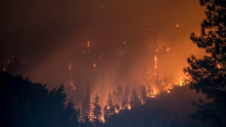 Experto adelanta intensas olas de calor e incendios forestales de alta propagación