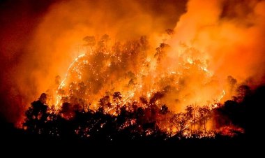 Senadora propone ampliar 5 por ciento de emergencia de GOREs para enfrentar incendios forestales