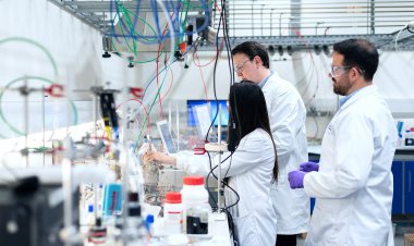 Más de mil trescientos millones de pesos se adjudican postgrados en la Macrozona Centro Sur
