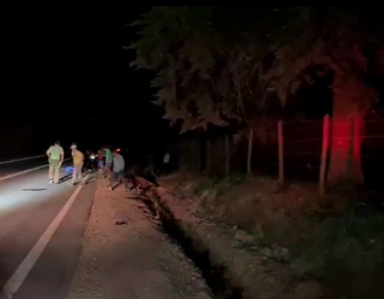 Nueva tragedia carretera en Linares: jinete y su caballo mueren tras ser impactados por camioneta en el camino al Santuario Achibueno