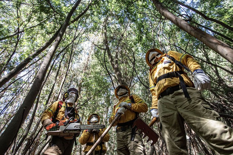 CONAF y CORMA llaman a prevenir incendios ante pronóstico de altas temperaturas