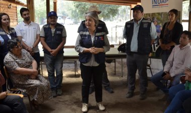 Longaví: agricultores afectados por incendios forestales reciben ayuda del Gobierno