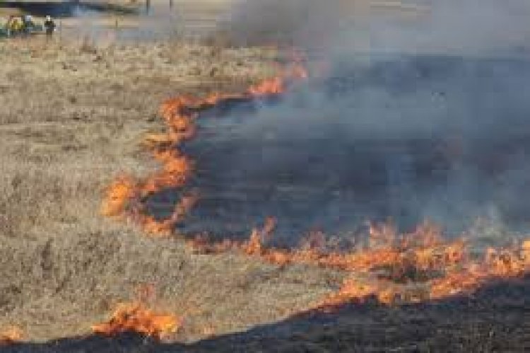 Migrante haitiano es detenido como sospechoso de provocar incendio de pastizales