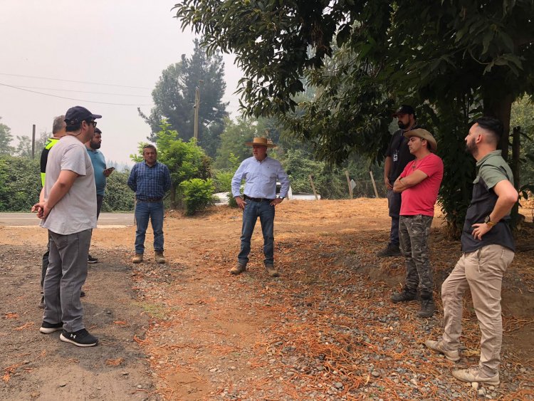Alcalde de Longaví cifra en 5 mil las hectáreas afectadas por mega incendio forestal en sector río Blanco