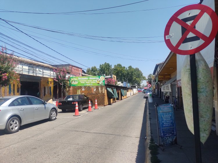 Fin al sueño de boulevard de calle Benjamín Novoa en Linares