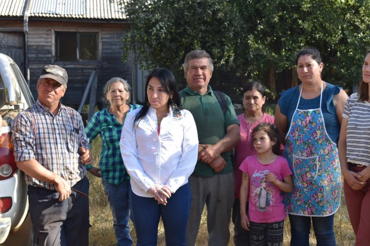 Gobierno Regional comprometió apoyo a los vecinos por efectos colatelares del incendio forestal en Longaví