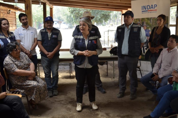 Longaví: agricultores afectados por incendios forestales reciben ayuda del Gobierno