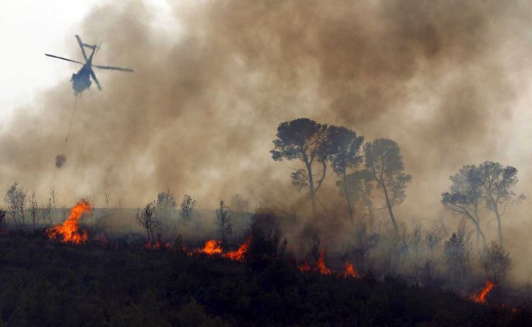 CORMA se reúne con fiscal nacional y entrega antecedentes de 731 denuncias y querellas por incendios