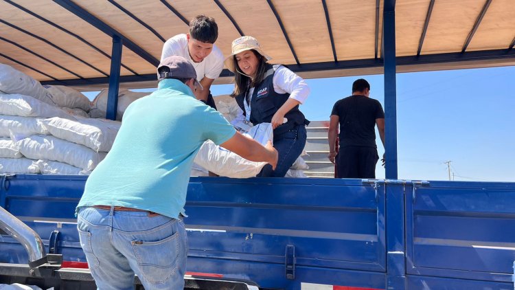 Ayuda por incendios forestales: 71 toneladas de alimento y 44 millones entregados en el Maule