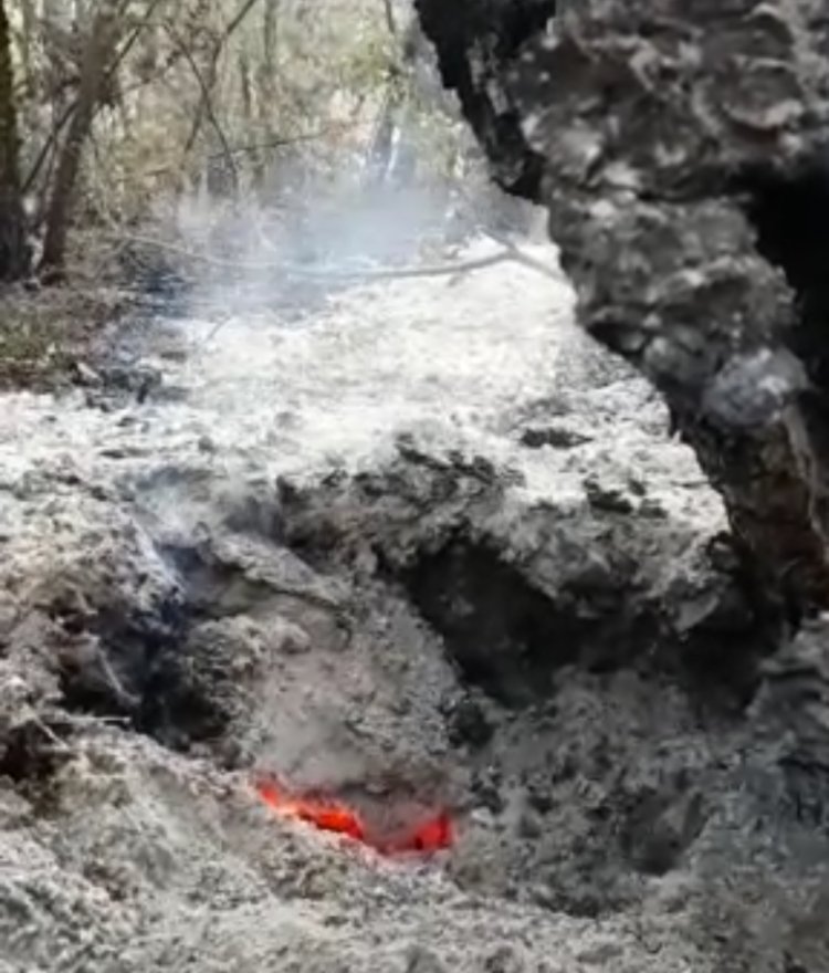 El desastre de río Blanco