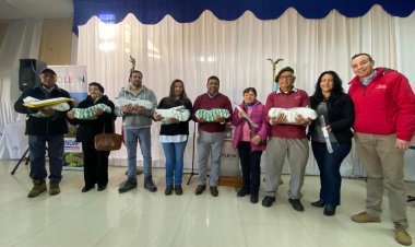 Colbún: municipio entregó 4 toneladas de azúcar a apicultores