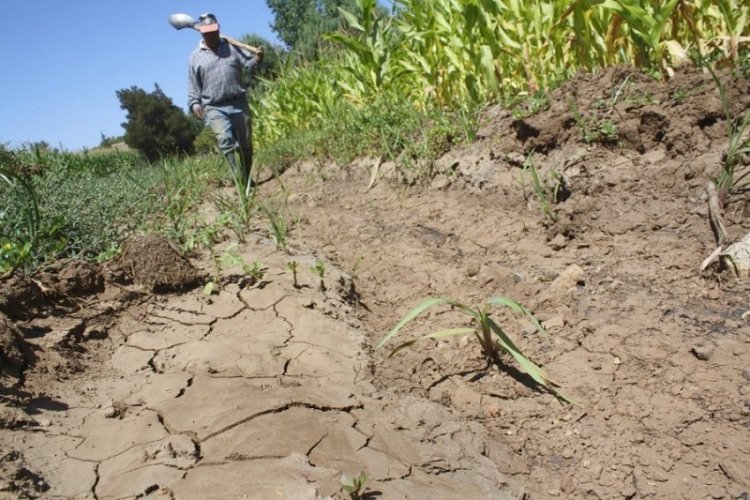 Cambio climático genera variación en las estaciones del año  e inminente peligro para la agricultura