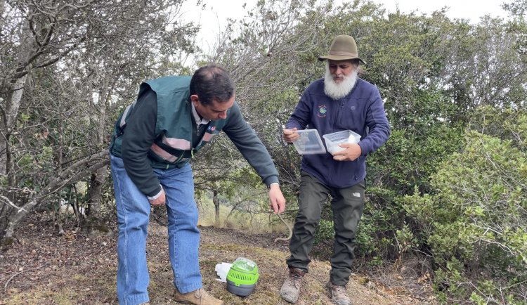 “Casa Noé, Mundo Animal” y SAG liberan yaca y culebra de cola larga en el sector Los Cristales