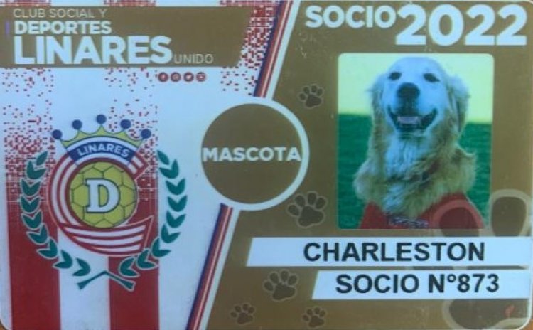 Murió Charleston, el perruno que era fiel hincha del Depo Albirrojo