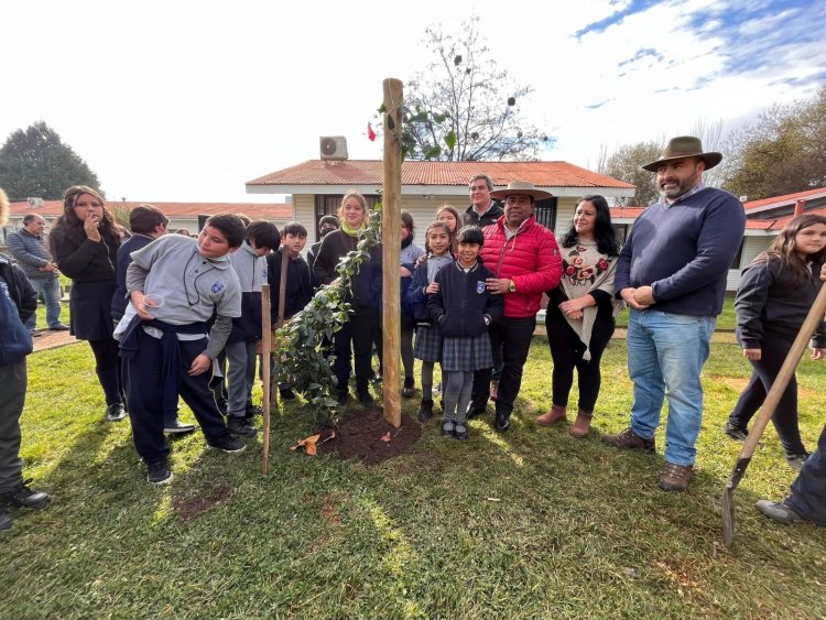 Plantan copihue en el jardín de la Municipalidad de Colbún