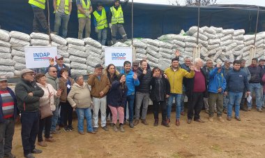 INDAP Maule ha entregado 675 toneladas de cubos de alfalfa a usuarios afectados por mega temporal