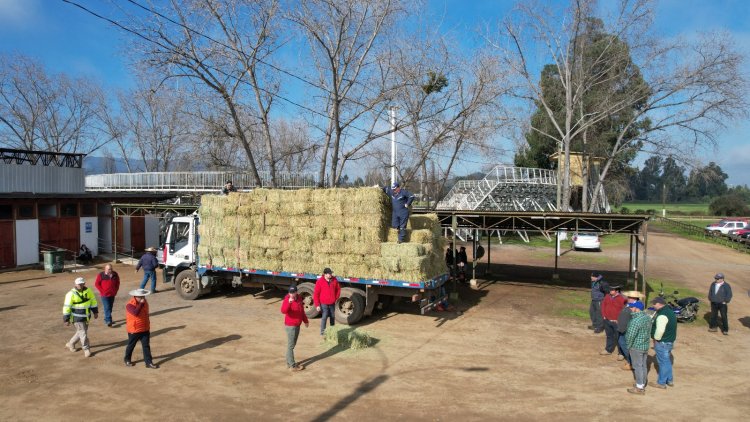 Colbún: municipio entregó 8 mil fardos en el marco del Plan de Alimentación Invernal 2023