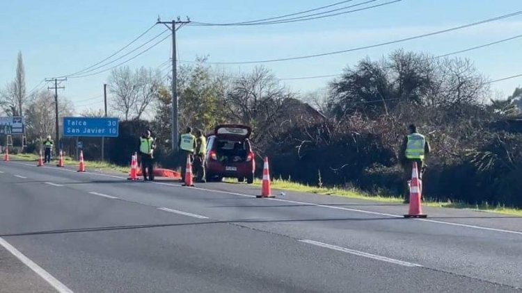 Villa Alegre: dos personas mueren tras atropello en la Ruta Cinco sur