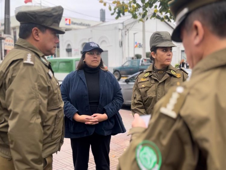 Delegada Priscila González destaca el aumento del uso del programa Denuncia Seguro en la provincia de Linares