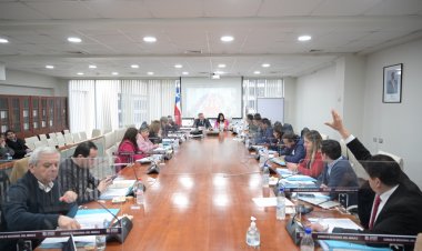 CORE aprobó programa por $1200 millones para emprendedores FOSIS afectados por el Sistema Frontal en el Maule