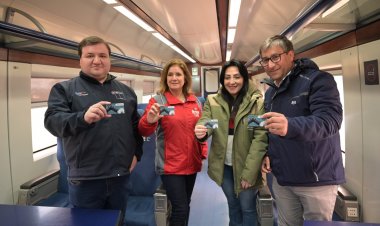 Autoridades informaron extensión del servicio de tren Parral-Chillán