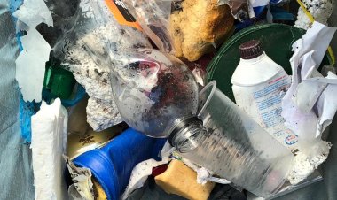 En Chanco se realizará jornada de Limpieza de Playas para abordar problemática de residuos marinos y microplásticos