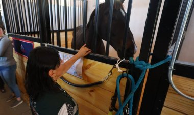 Brote de encefalomielitis equina en Argentina activa plan de vigilancia SAG en territorio nacional