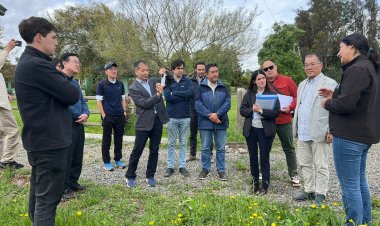 Delegación japonesa de FARMDO se reúne con INIA Raihuén en Villa Alegre para evaluar innovador sistema de uso de paneles fotovoltaicos en agricultura