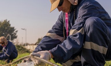CFT Estatal del Maule lanza inédita carrera en Parral