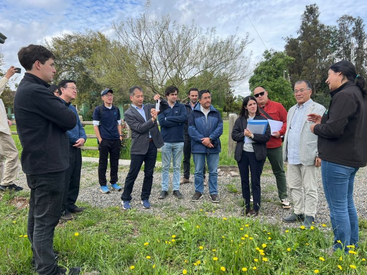 Delegación japonesa de FARMDO se reúne con INIA Raihuén en Villa Alegre para evaluar innovador sistema de uso de paneles fotovoltaicos en agricultura