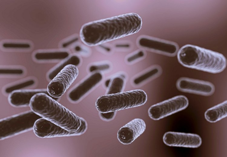 ¿Qué es la resistencia a los antimicrobianos y cuáles son los riesgos para la salud pública?