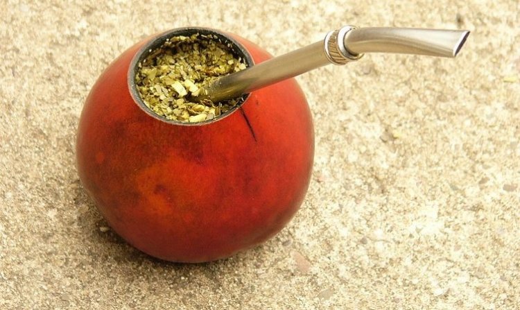 Probarán yerba mate para reducir la inflamación en pacientes con esclerosis múltiple