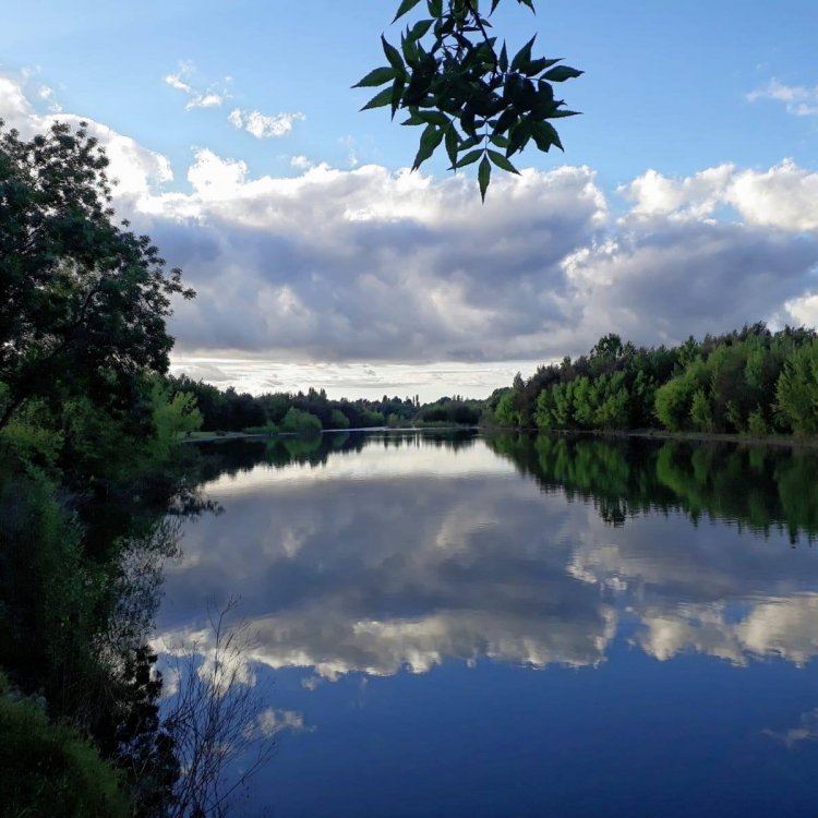 Joven scout fallece ahogado en las aguas del río Perquilauquén