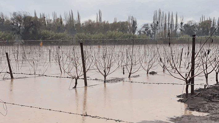 Alertan sobre el Fenómeno de La Niña y su alto impacto en la agricultura este 2024