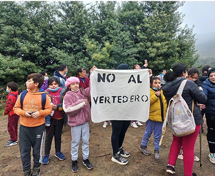 Carla Alegría Vásquez: Linares, ¿Una comuna de apáticos?