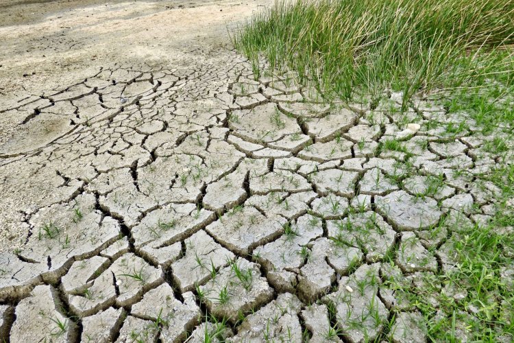 Regresa el Fenómeno de la Niña: ¿En qué consiste y cómo impactará a Chile?