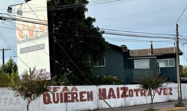 Linares: ¿Quién o quiénes están detrás de estos rayados?