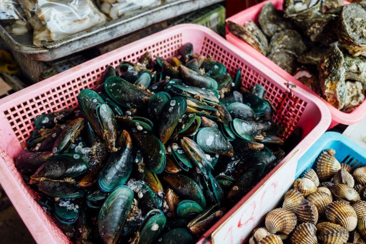 Experta detalla los cuidados al consumir productos del mar