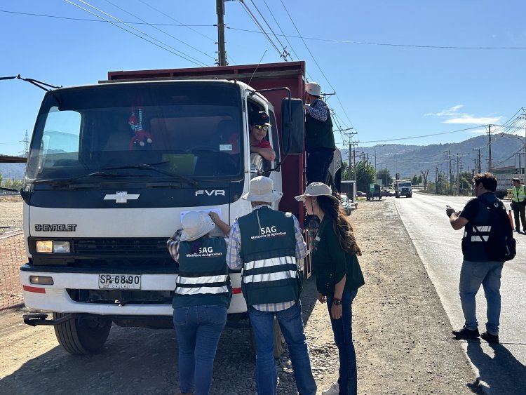 Autoridades supervisan transporte de uva en fiscalización carretera