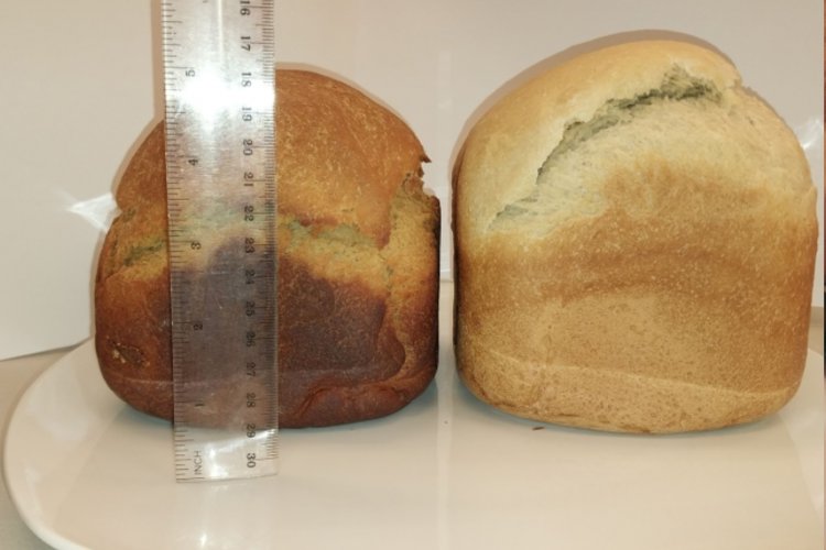 Comprueban que pan con harina de porotos disminuye niveles de glucemia en personas mayores