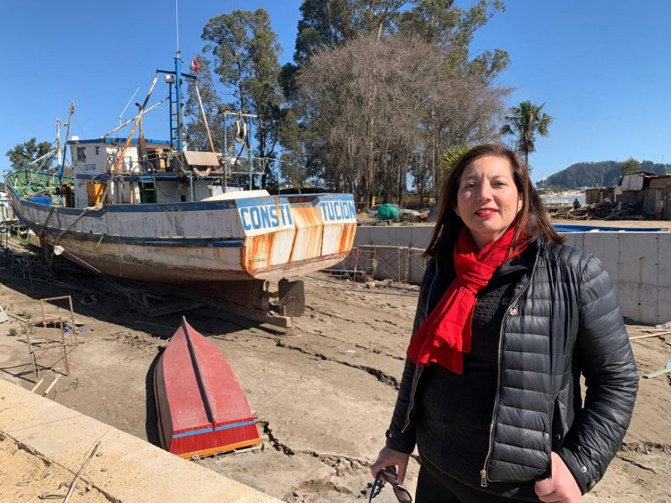 Senadora Vodanovic ofició al MOP y Minería por emergencias en Parque Fluvial y La Poza de Constitución