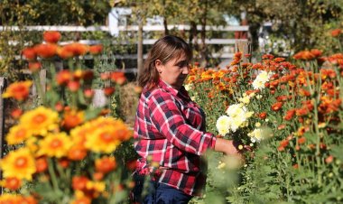 Florista Valeria González de Maule: el amor por las flores es una herencia familiar