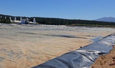 SMA formula dos cargos contra la empresa Agrícola Coexca