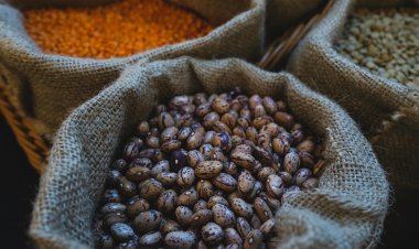 Investigadores destacan beneficios de los porotos para envejecer saludablemente